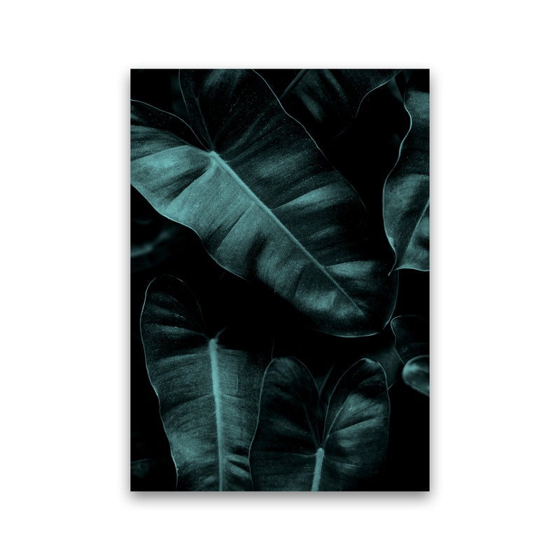 Dark Leafs Photography Art Print by Kubistika Print Only