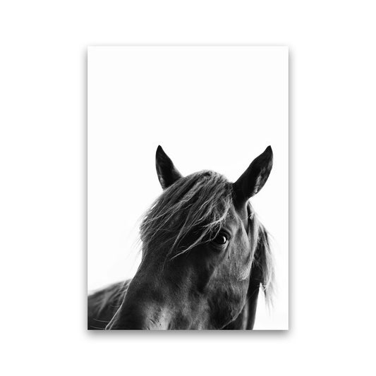 Black Beauty Photography Art Print by Kubistika Print Only