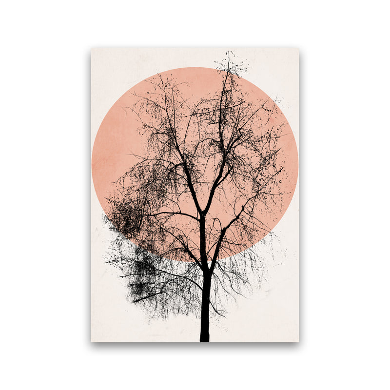 Autumn Sunset Contemporary Art Print by Kubistika Print Only