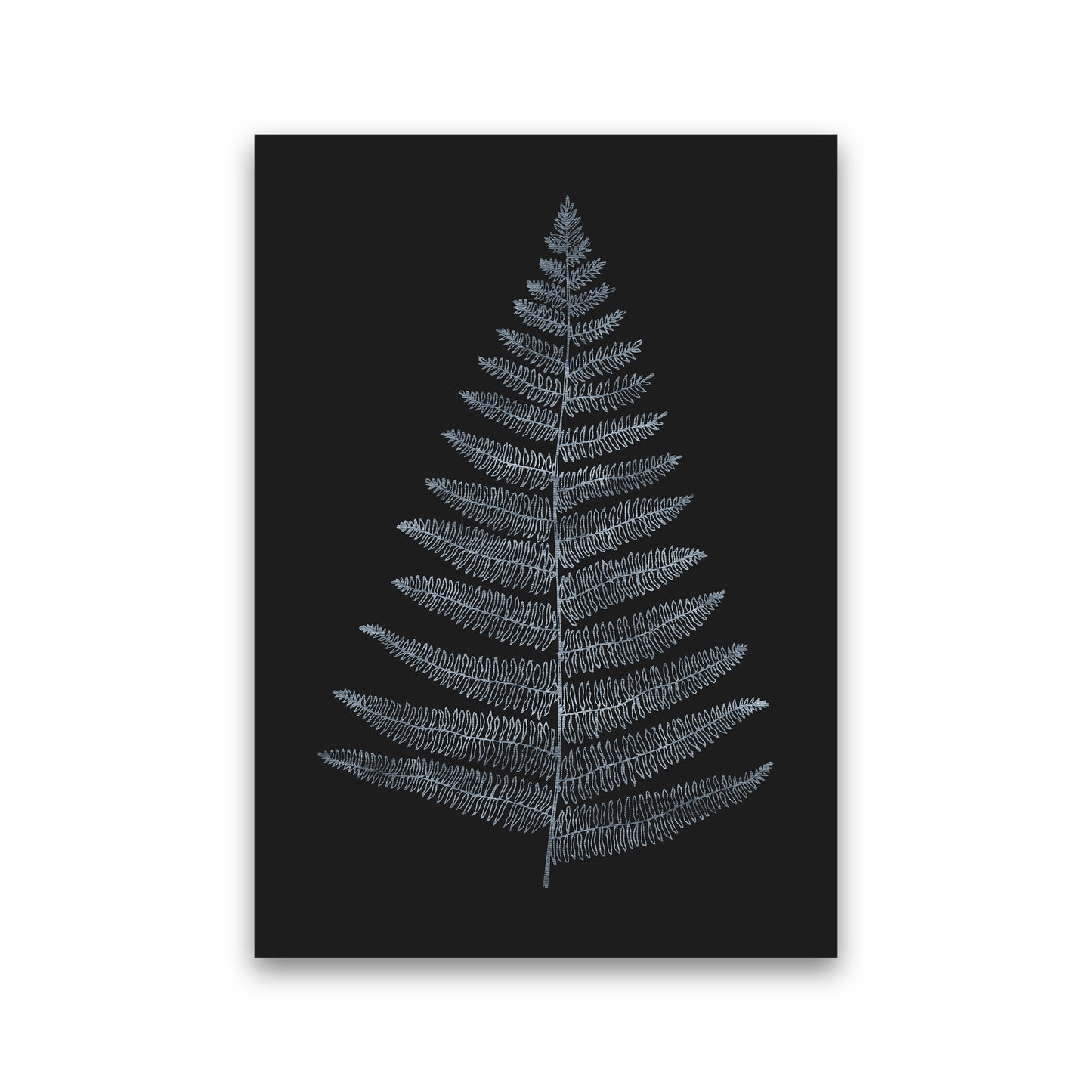 Botanica Minimalistica - BLEU Modern Art Print by Kubistika Print Only