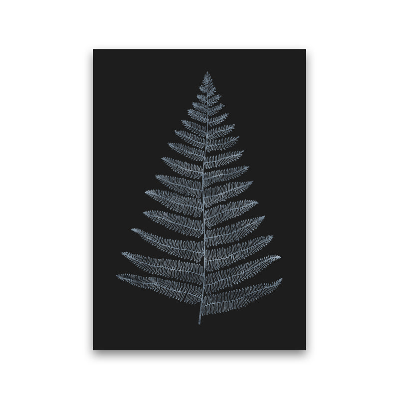 Botanica Minimalistica - BLEU Modern Art Print by Kubistika Print Only