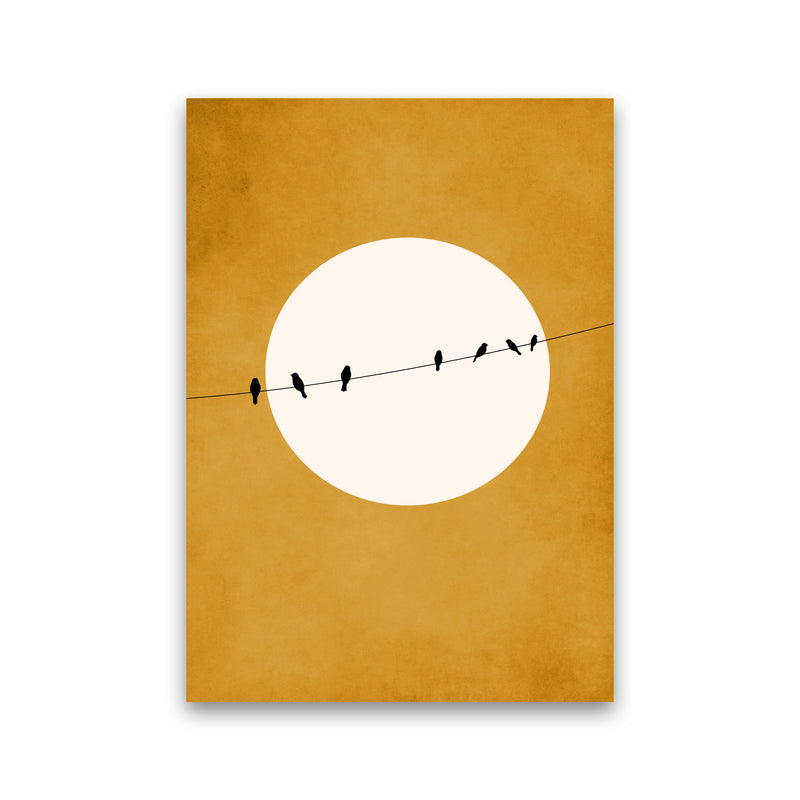Chirping And Chilling (At Night) Art Print by Kubistika Print Only