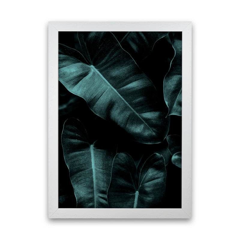 Dark Leafs Photography Art Print by Kubistika White Grain