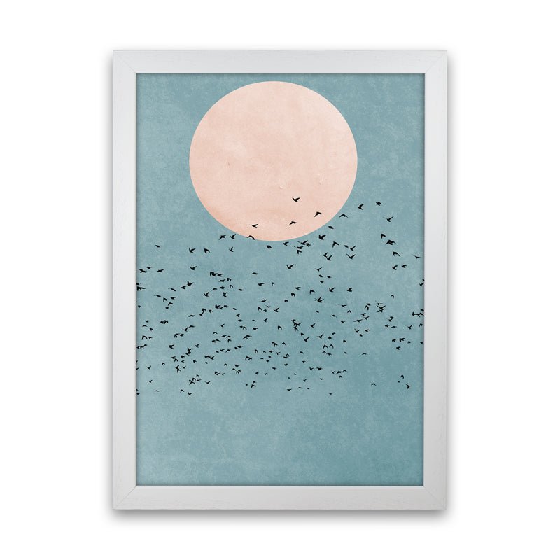 A Fly Away Modern Contemporary Art Print by Kubistika White Grain
