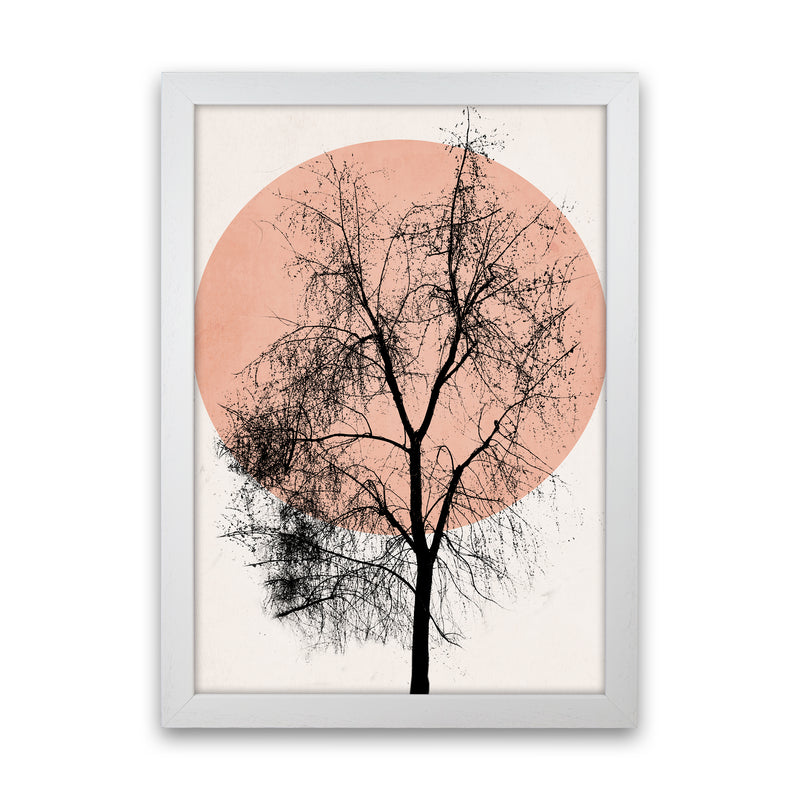 Autumn Sunset Contemporary Art Print by Kubistika White Grain