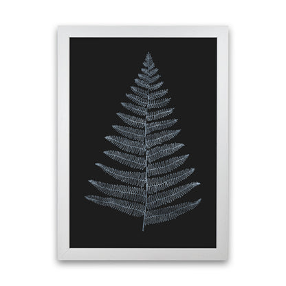 Botanica Minimalistica - BLEU Modern Art Print by Kubistika White Grain