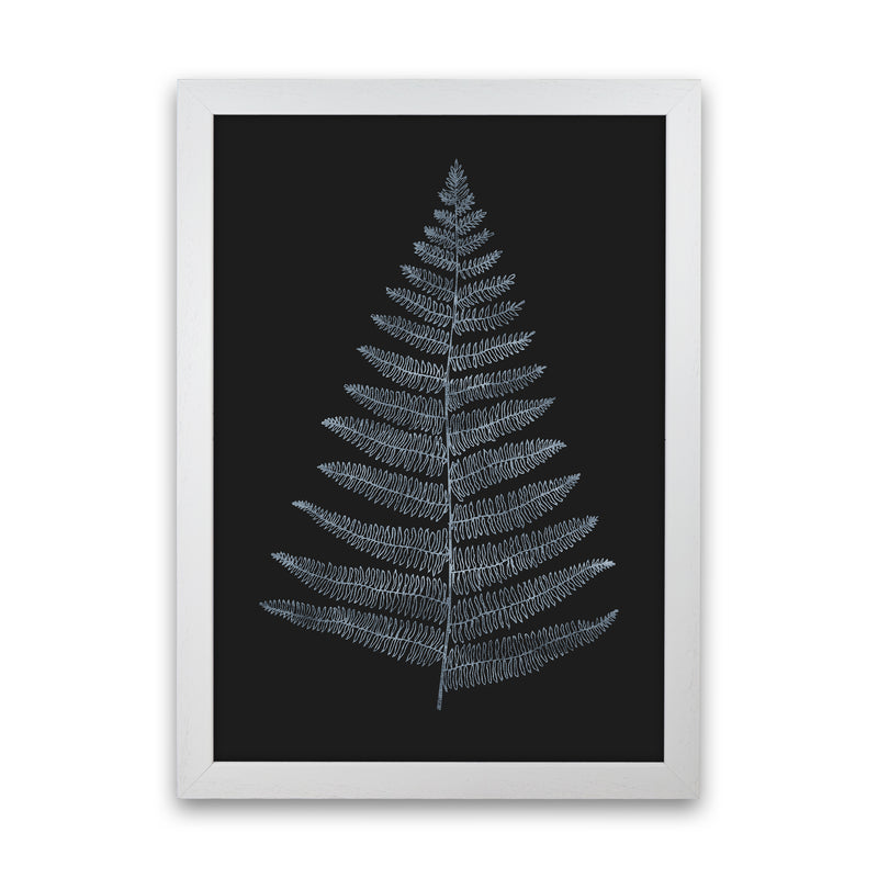 Botanica Minimalistica - BLEU Modern Art Print by Kubistika White Grain