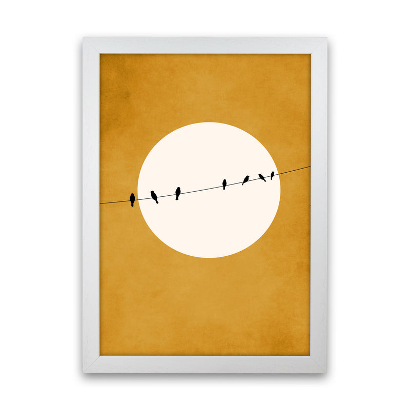 Chirping And Chilling (At Night) Art Print by Kubistika White Grain
