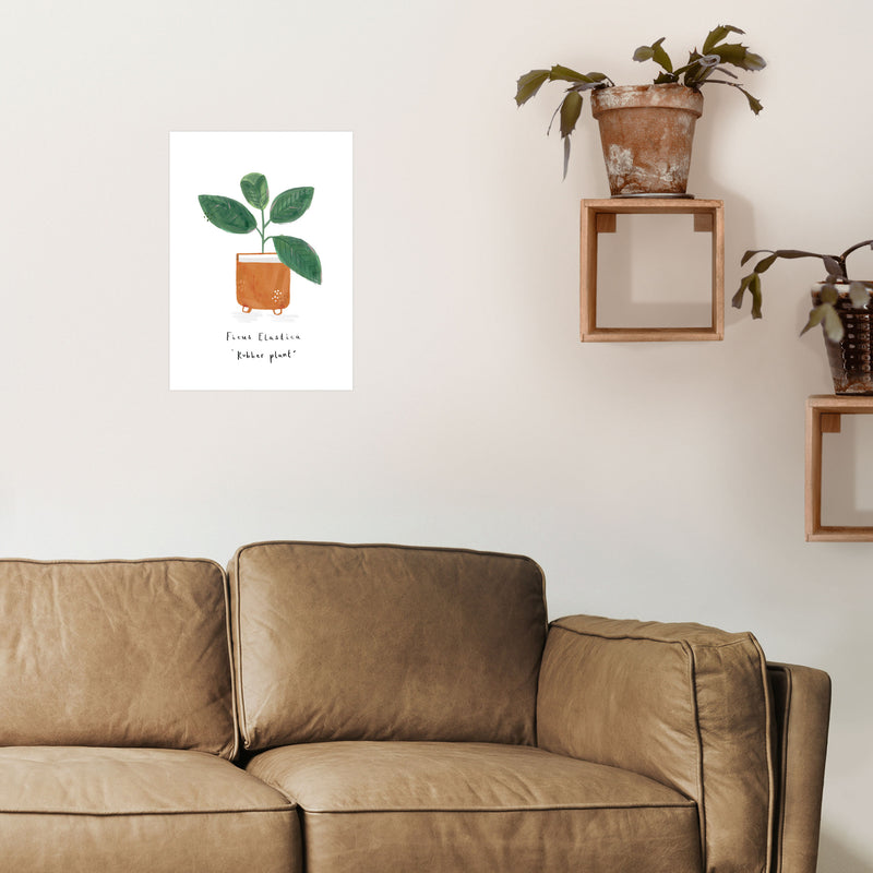 Rubber Plant  Art Print by Laura Irwin A3 Black Frame