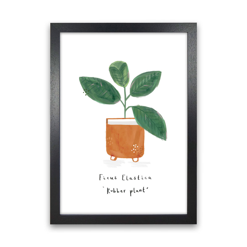 Rubber Plant  Art Print by Laura Irwin Black Grain