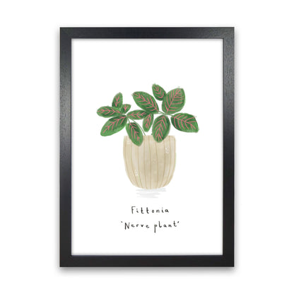 Nerve Plant  Art Print by Laura Irwin Black Grain