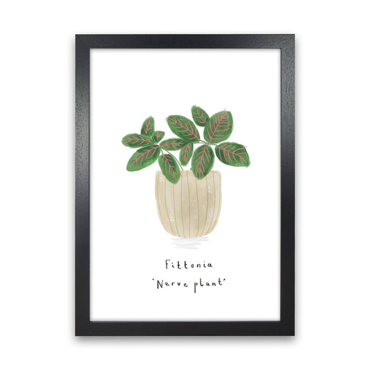 Nerve Plant  Art Print by Laura Irwin Black Grain