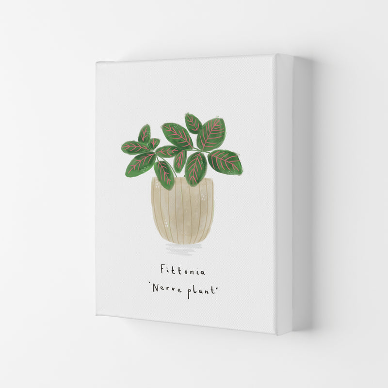 Nerve Plant  Art Print by Laura Irwin Canvas