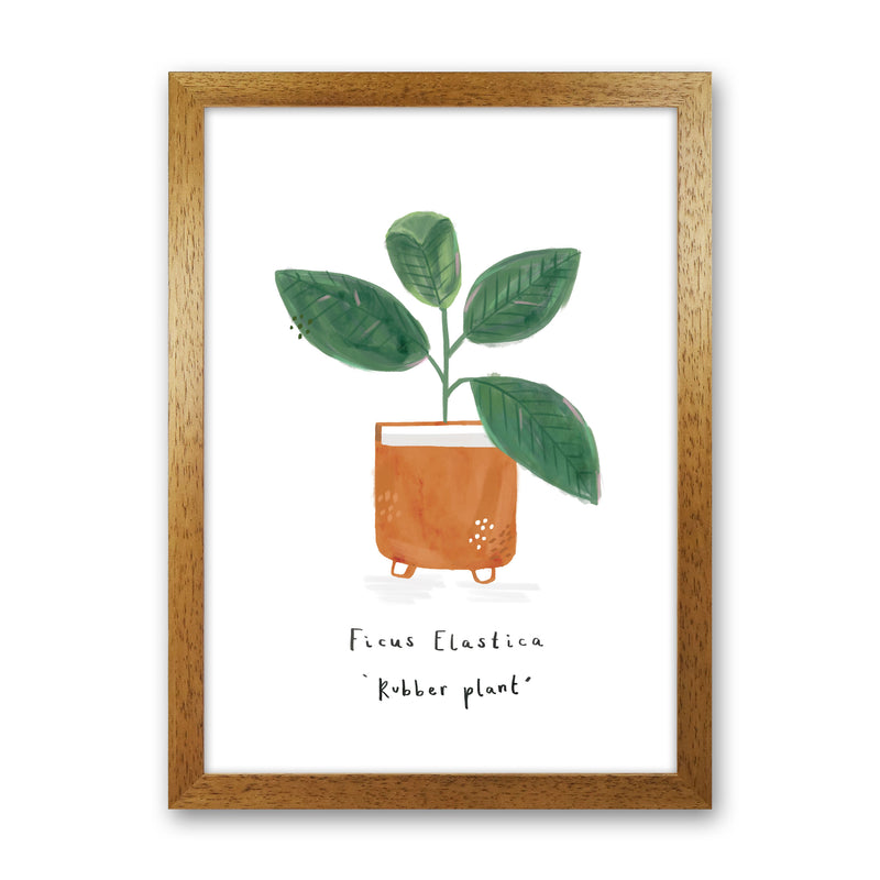 Rubber Plant  Art Print by Laura Irwin Oak Grain