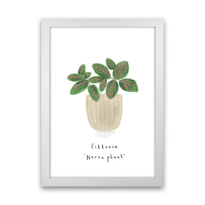 Nerve Plant  Art Print by Laura Irwin White Grain