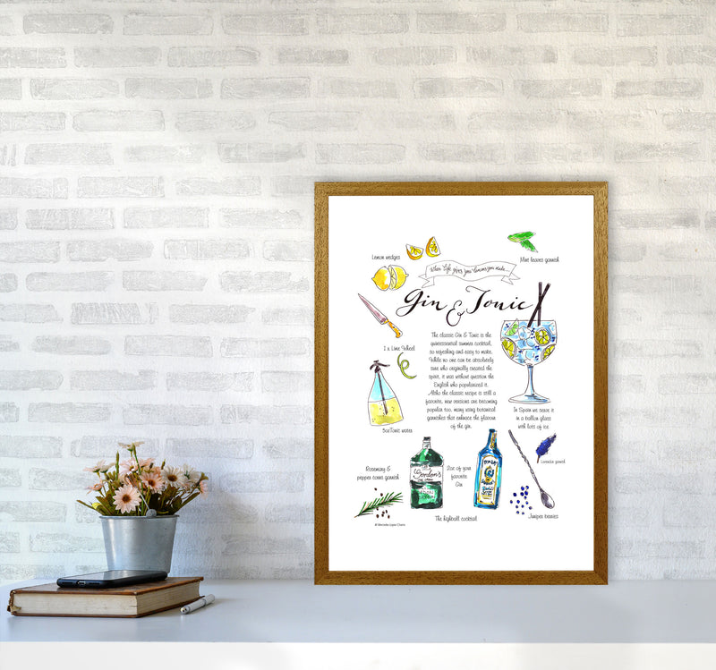 Gin And Tonic Recipe, Kitchen Food & Drink Art Prints A2 Print Only