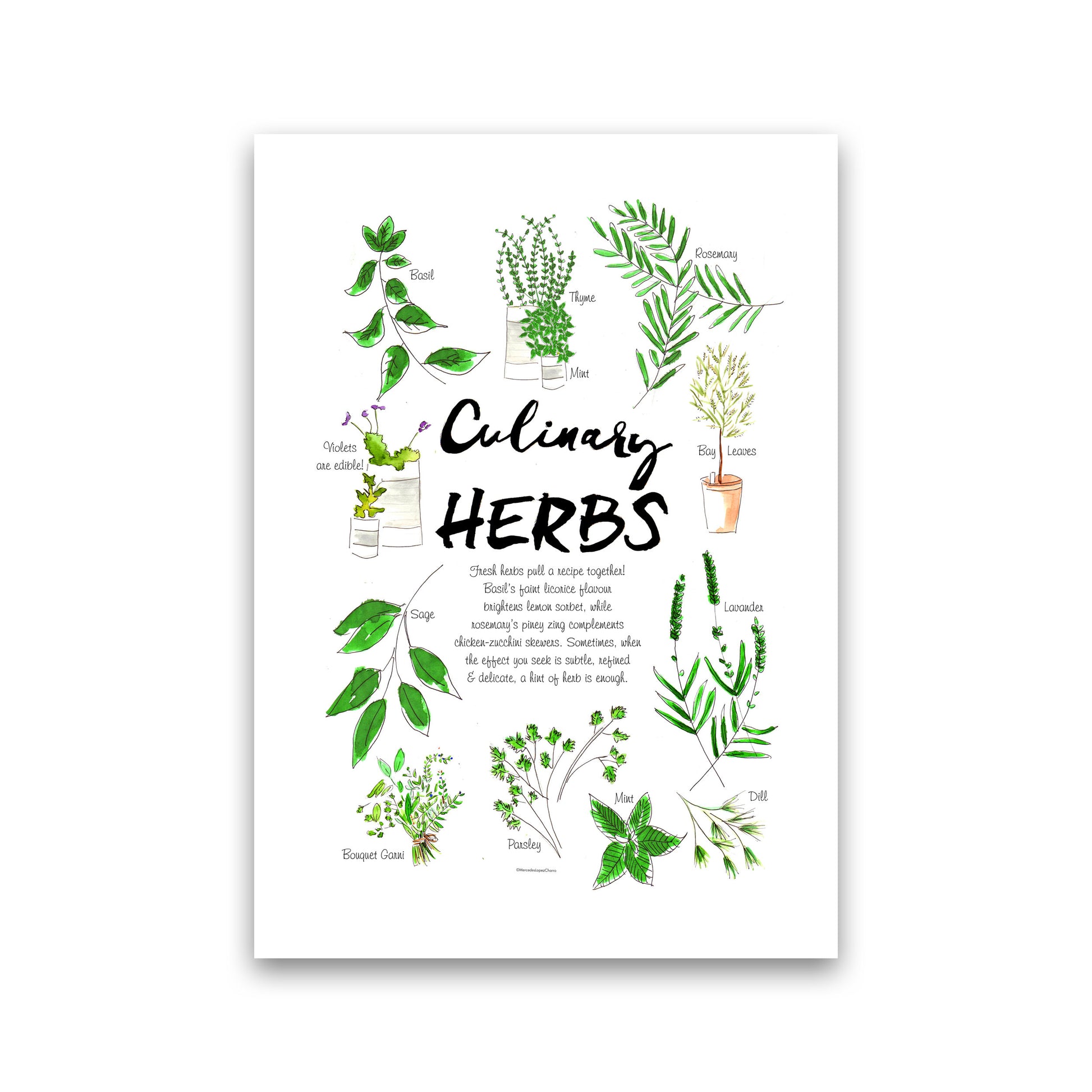Culinary Herbs, Kitchen Food & Drink Art Prints Print Only