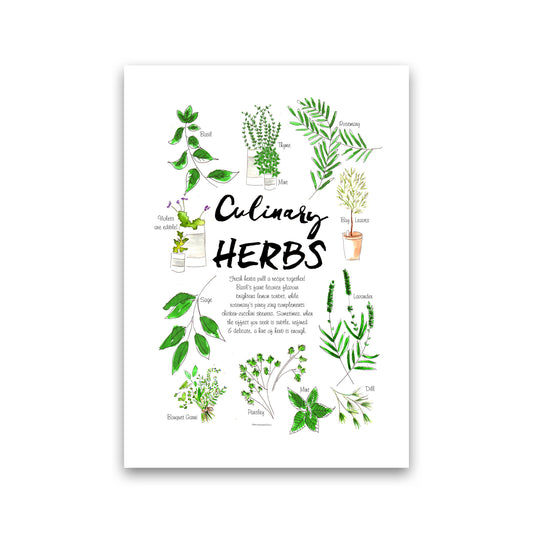 Culinary Herbs, Kitchen Food & Drink Art Prints Print Only