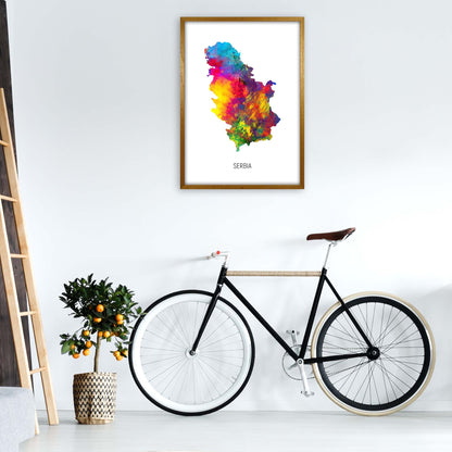 Serbia Watercolour Map Art Print by Michael Tompsett A1 Print Only