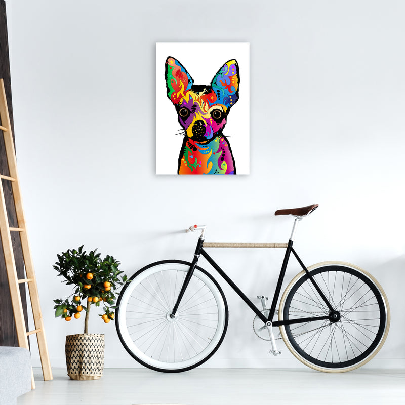 Chihuahua Dog White Art Print by Michael Tompsett A2 Black Frame