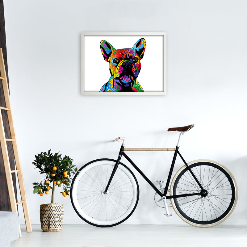 French Bulldog Dog White Art Print by Michael Tompsett A2 Oak Frame