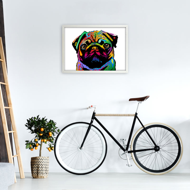 Pug Dog White Art Print by Michael Tompsett A2 Oak Frame