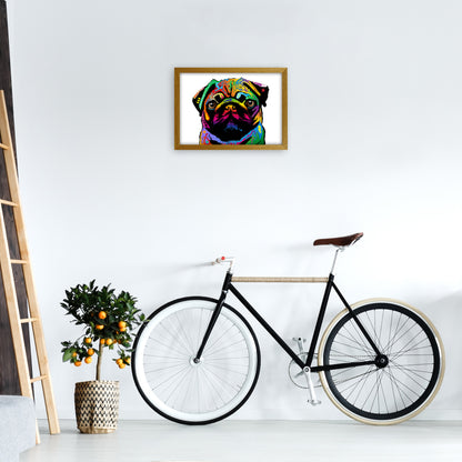 Pug Dog White Art Print by Michael Tompsett A3 Print Only