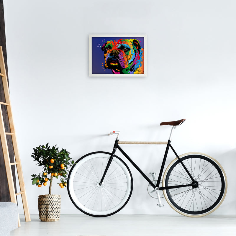 Bulldog Dog Blue Art Print by Michael Tompsett A3 Oak Frame
