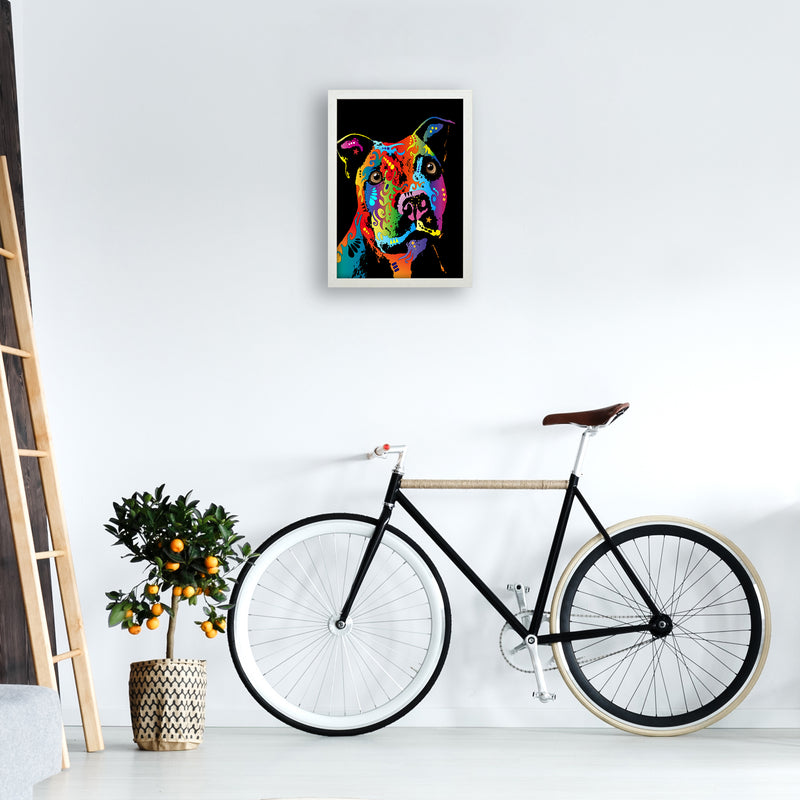 Staffordshire Bull Terrier Dog Art Print by Michael Tompsett A3 Oak Frame