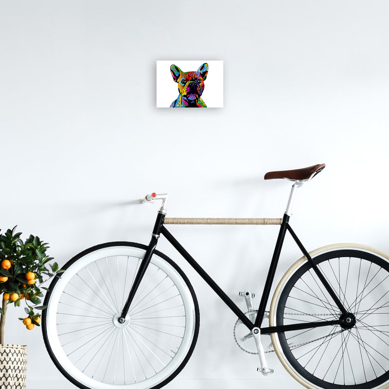 French Bulldog Dog White Art Print by Michael Tompsett A4 Black Frame