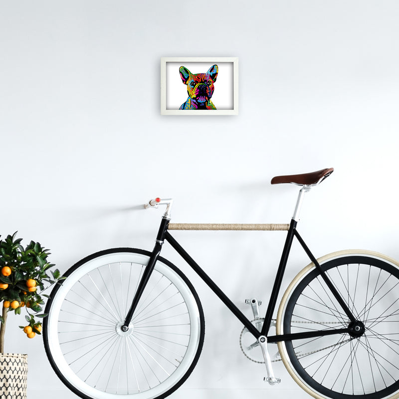 French Bulldog Dog White Art Print by Michael Tompsett A4 Oak Frame