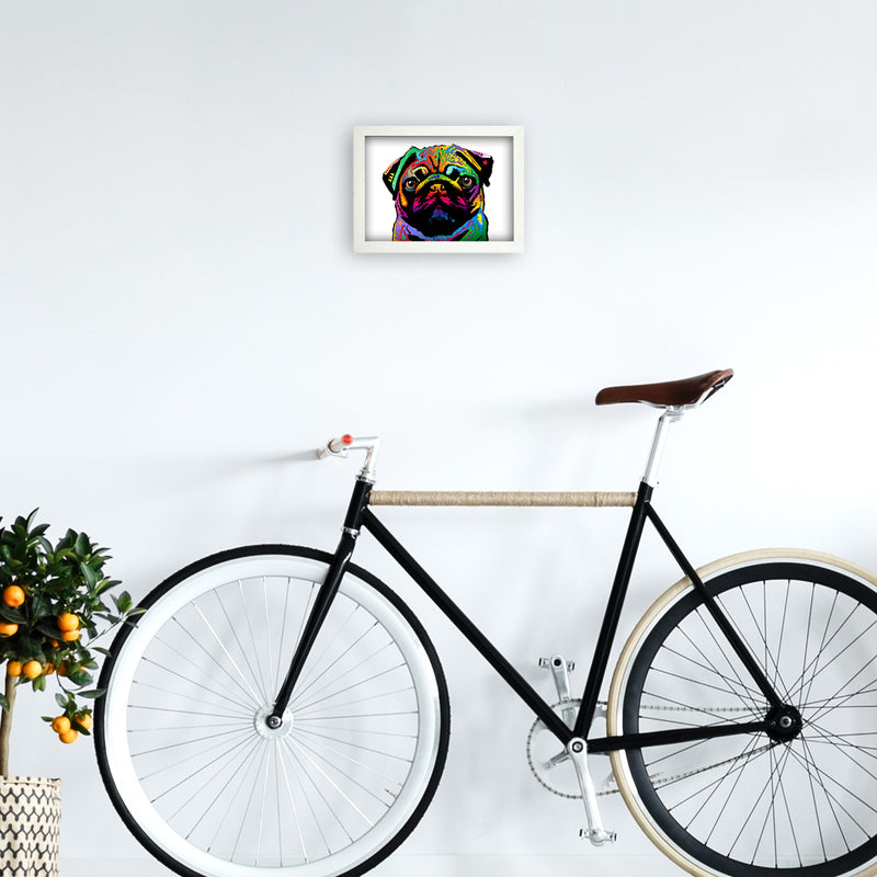 Pug Dog White Art Print by Michael Tompsett A4 Oak Frame