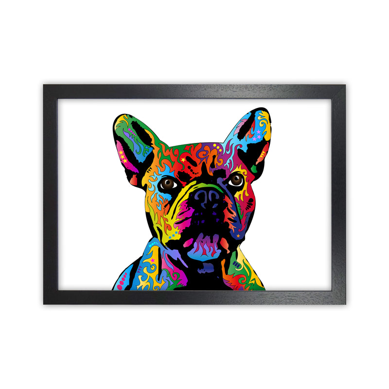 French Bulldog Dog White Art Print by Michael Tompsett Black Grain