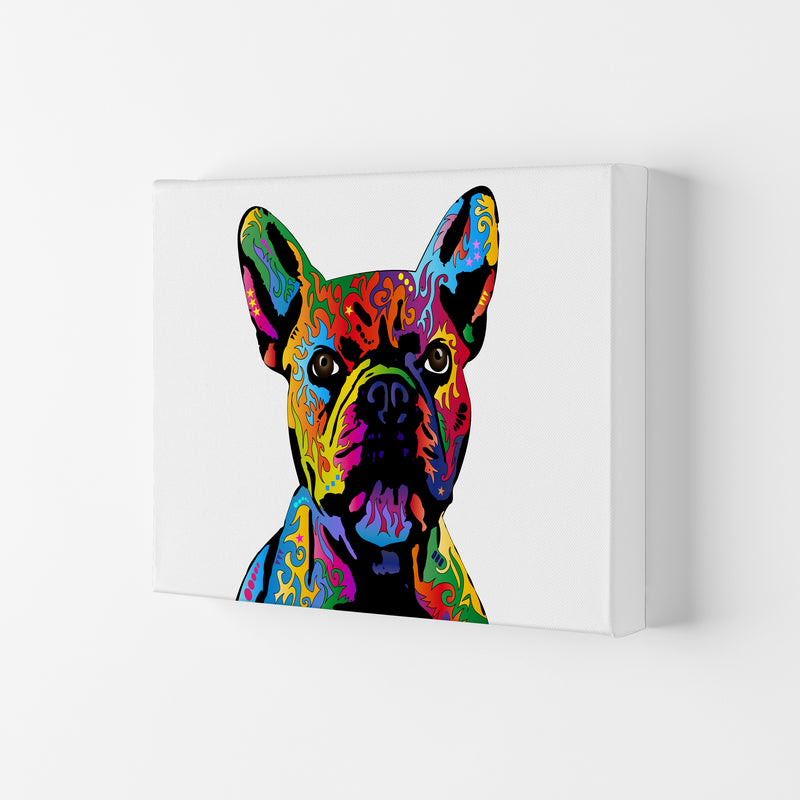 French Bulldog Dog White Art Print by Michael Tompsett Canvas