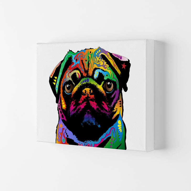 Pug Dog White Art Print by Michael Tompsett Canvas
