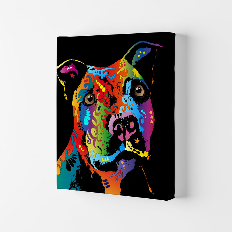 Staffordshire Bull Terrier Dog Art Print by Michael Tompsett Canvas