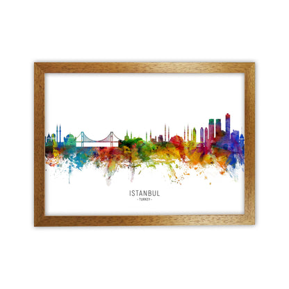 Istanbul Turkey Skyline Art Print by Michael Tompsett Oak Grain