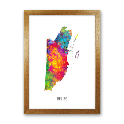 Belize Watercolour Map Art Print by Michael Tompsett Oak Grain