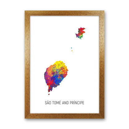 Sao Tome And Principe Watercolour Map  by Michael Tompsett Oak Grain