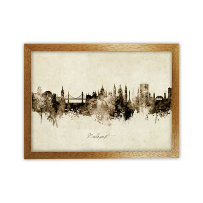 Budapest Hungary Skyline Vintage Art Print by Michael Tompsett Oak Grain