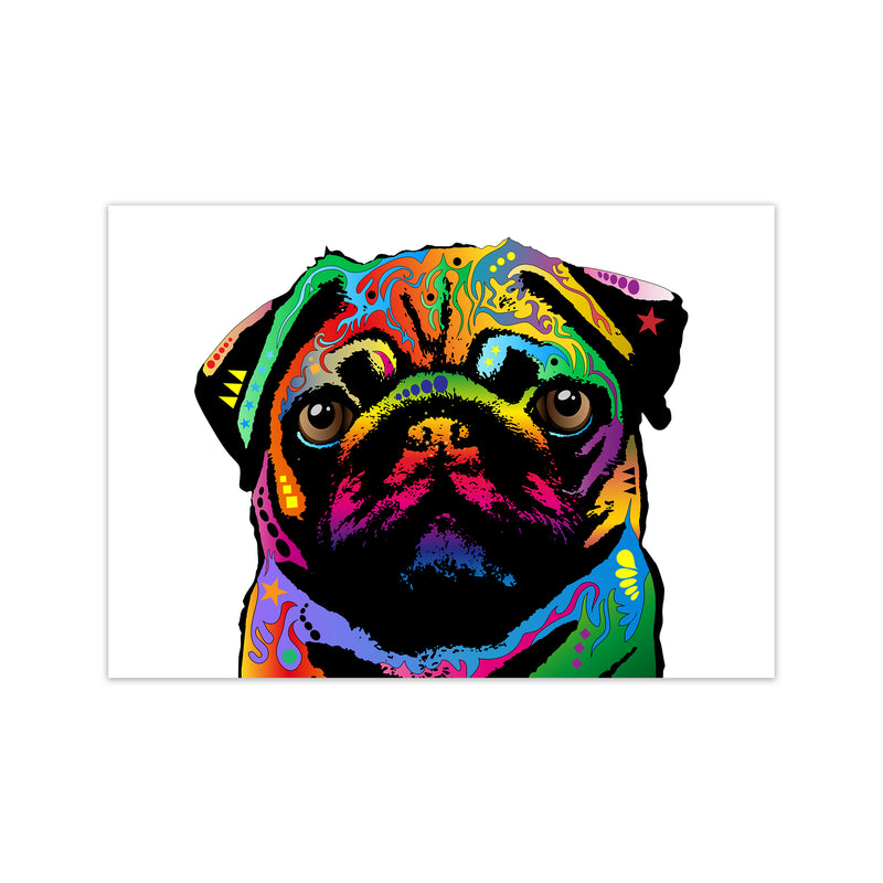 Pug Dog White Art Print by Michael Tompsett Print Only
