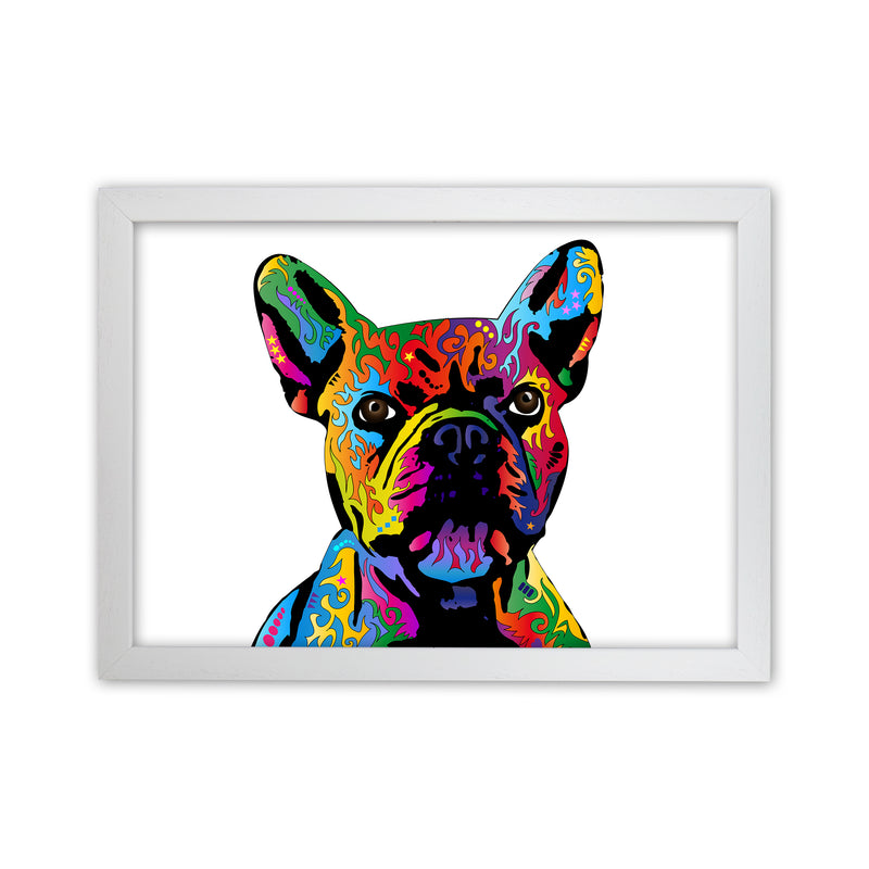French Bulldog Dog White Art Print by Michael Tompsett White Grain