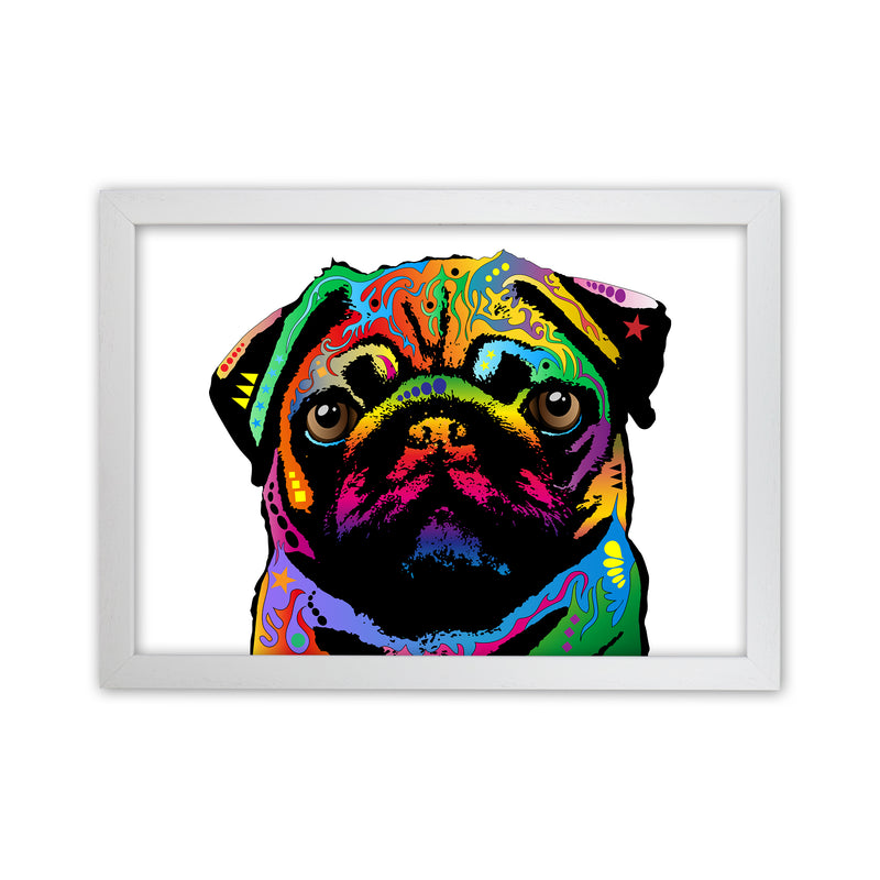 Pug Dog White Art Print by Michael Tompsett White Grain