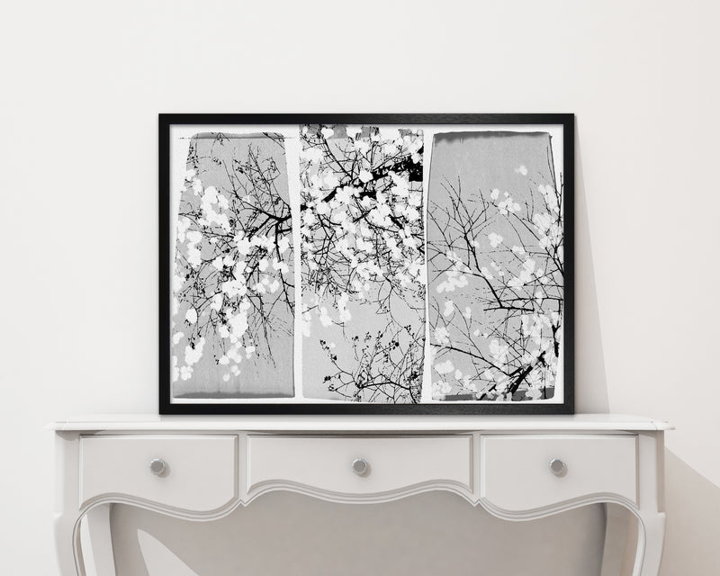 Oriental Blossom