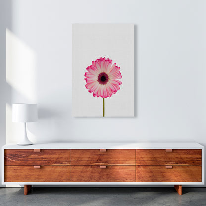 Daisy Still Life Print By Orara Studio, Framed Botanical & Nature Art Print A1 Canvas