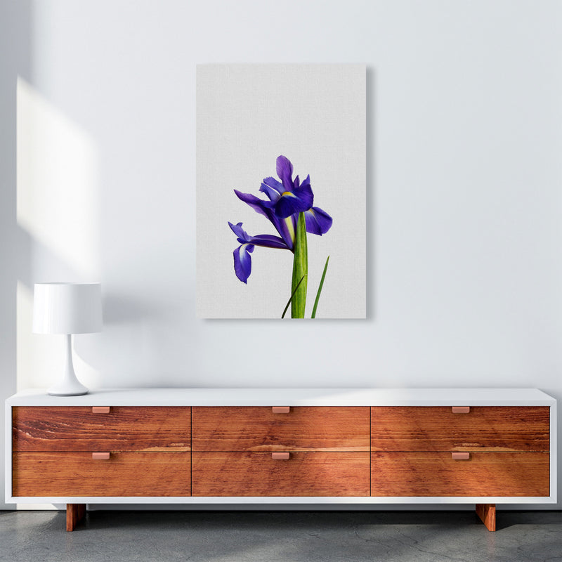 Iris Still Life Print By Orara Studio, Framed Botanical & Nature Art Print A1 Canvas