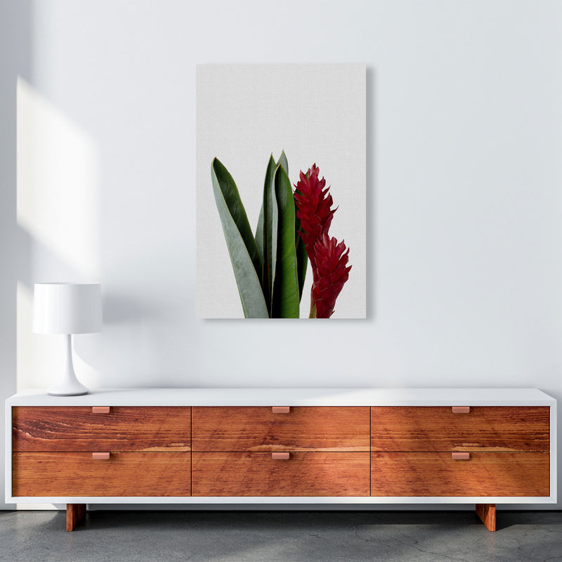 Red Flower Print By Orara Studio, Framed Botanical & Nature Art Print A1 Canvas