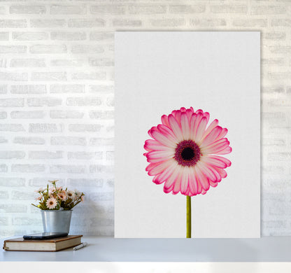 Daisy Still Life Print By Orara Studio, Framed Botanical & Nature Art Print A1 Black Frame