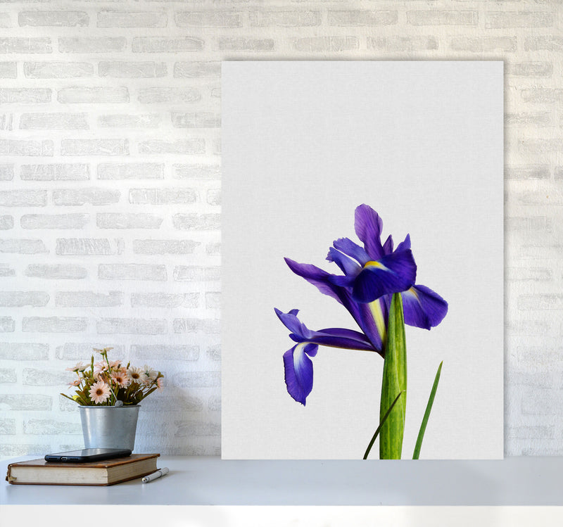 Iris Still Life Print By Orara Studio, Framed Botanical & Nature Art Print A1 Black Frame