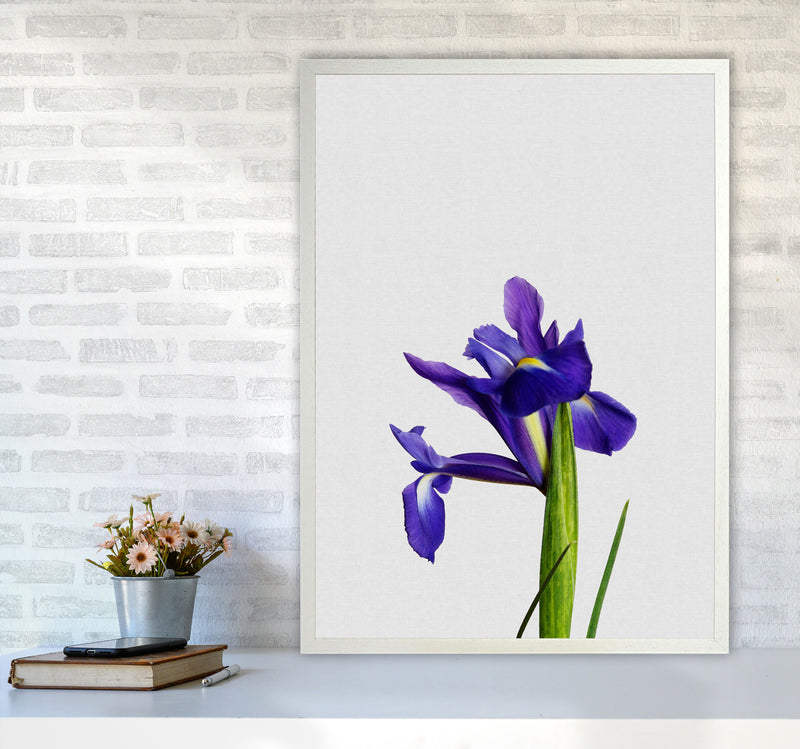 Iris Still Life Print By Orara Studio, Framed Botanical & Nature Art Print A1 Oak Frame